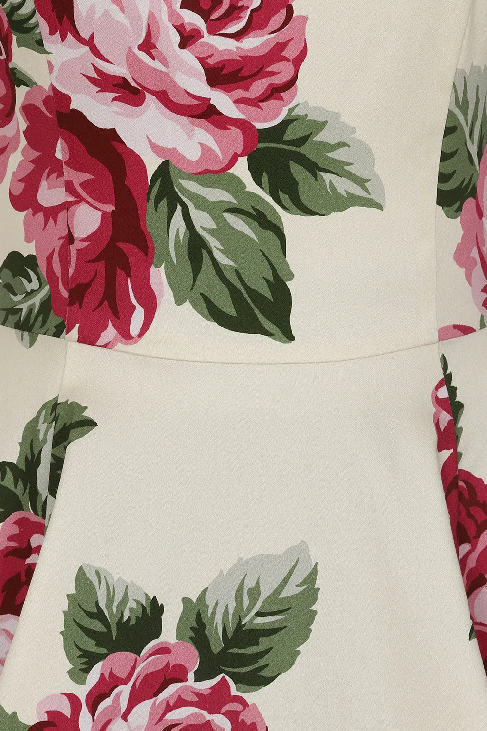 Frances Floral Swing Dress by Hearts and Roses